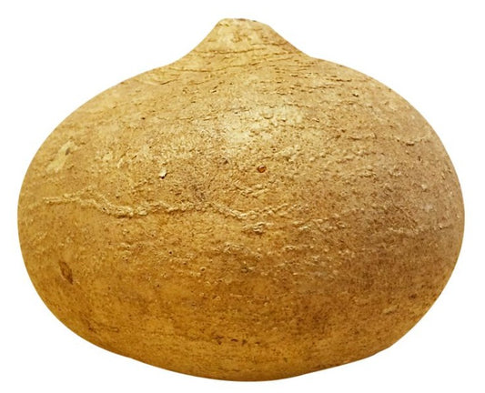 Jicama
